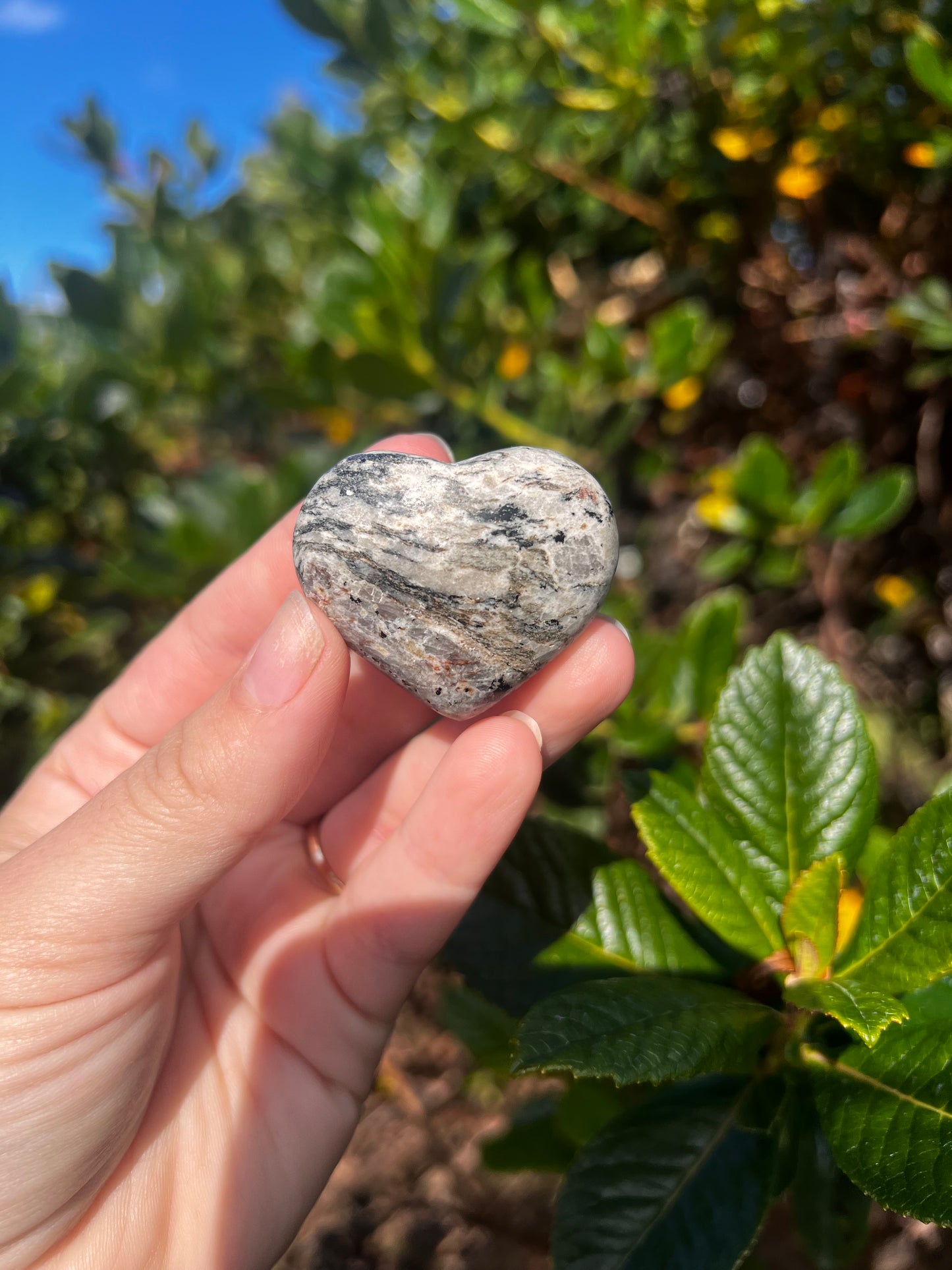 Zebra Jasper Heart