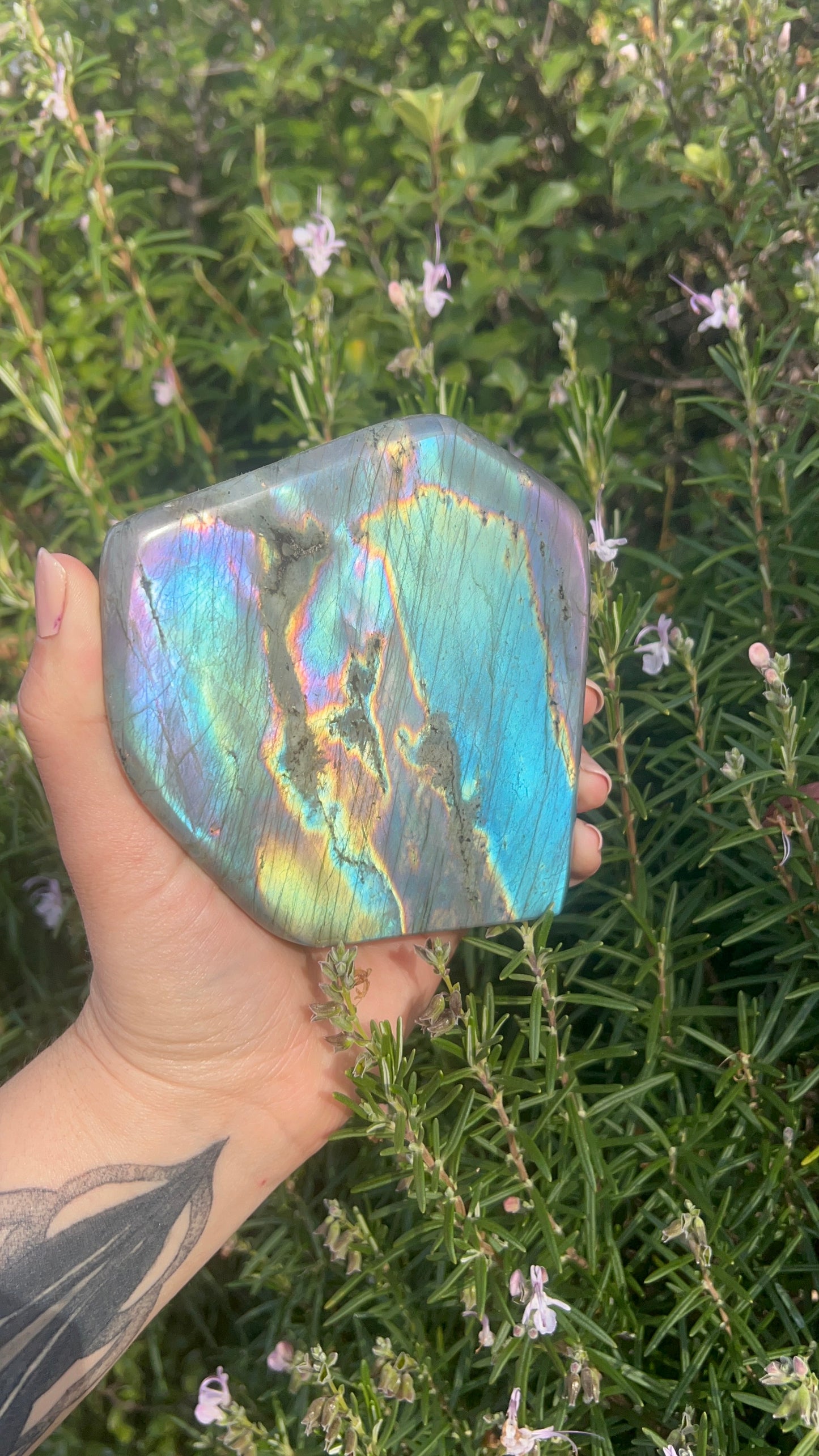 Labradorite Freeform