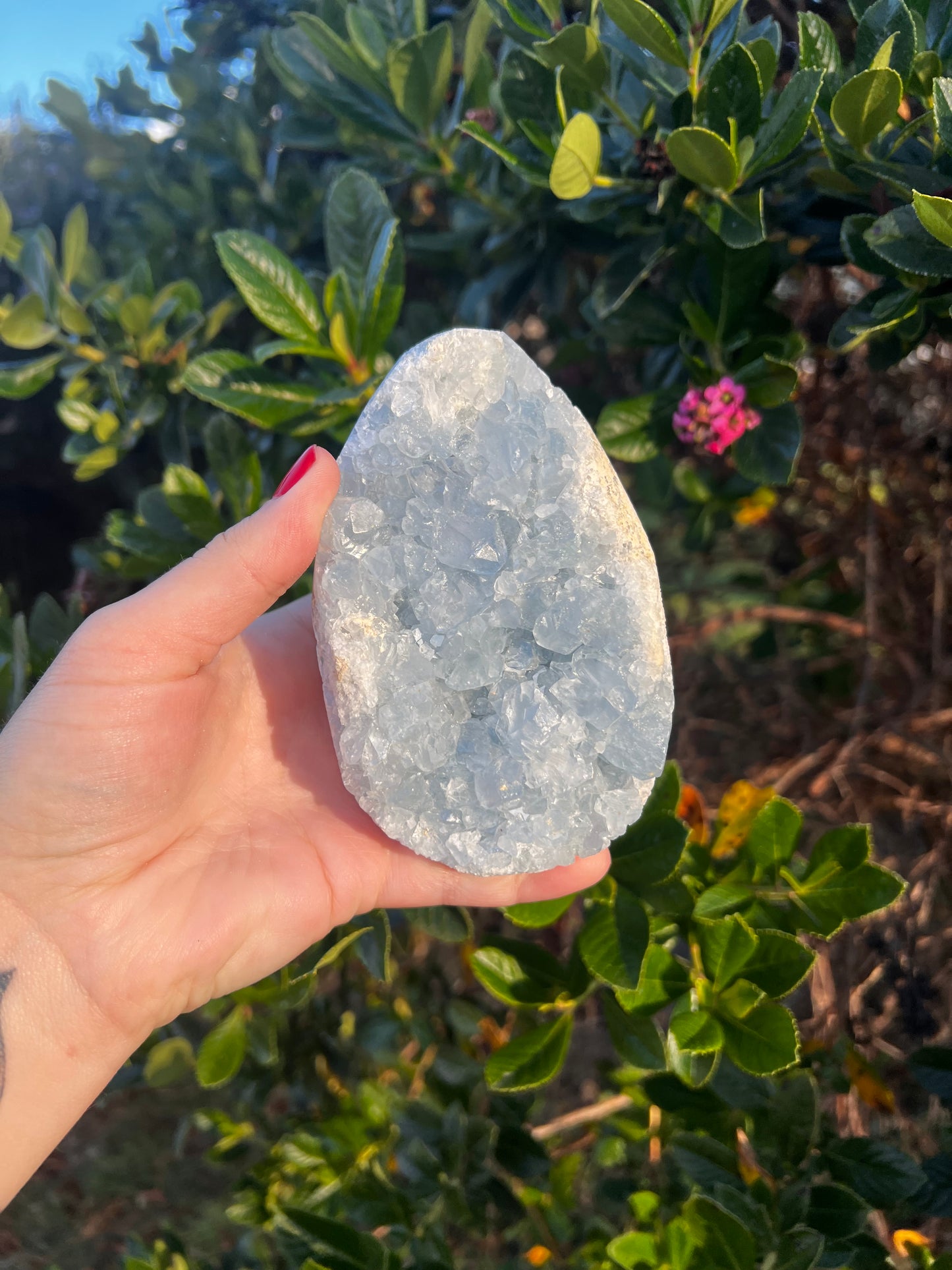Celestite Egg- Statement Piece