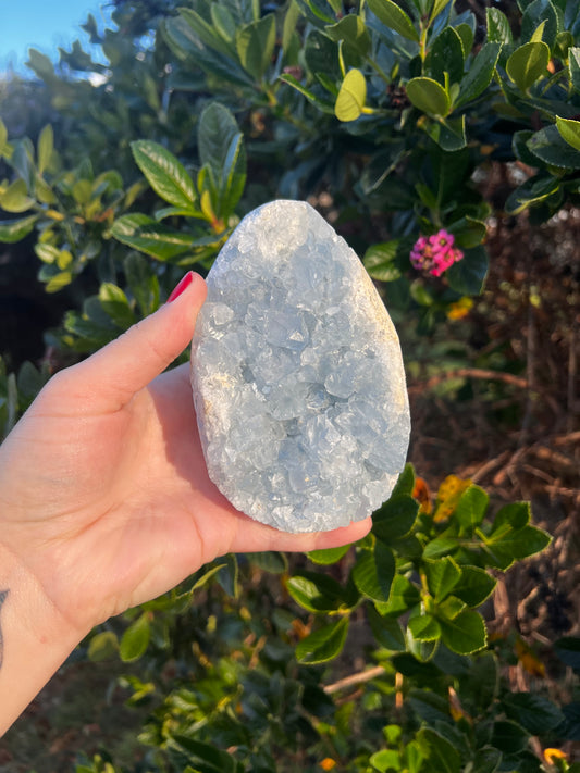 Celestite Egg- Statement Piece