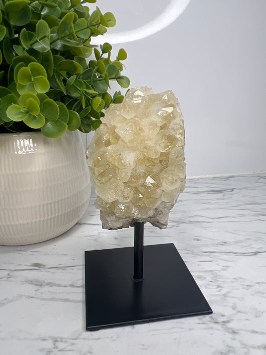 Citrine Cluster on Stand